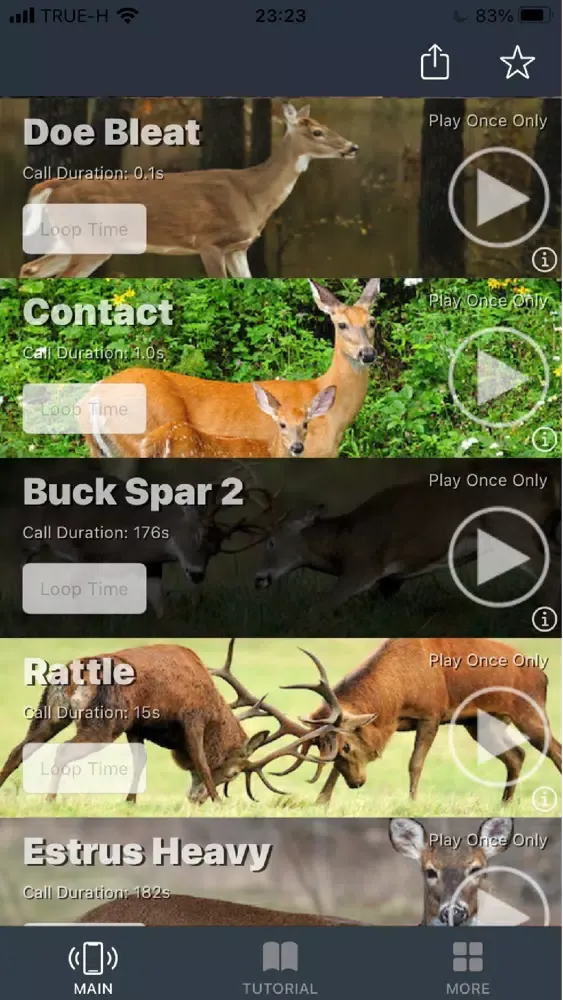 Whitetail Deer Calls for Hunt应用截图