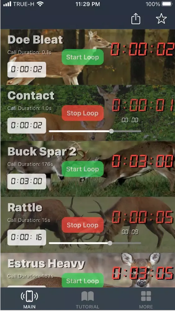 Whitetail Deer Calls for Hunt应用截图