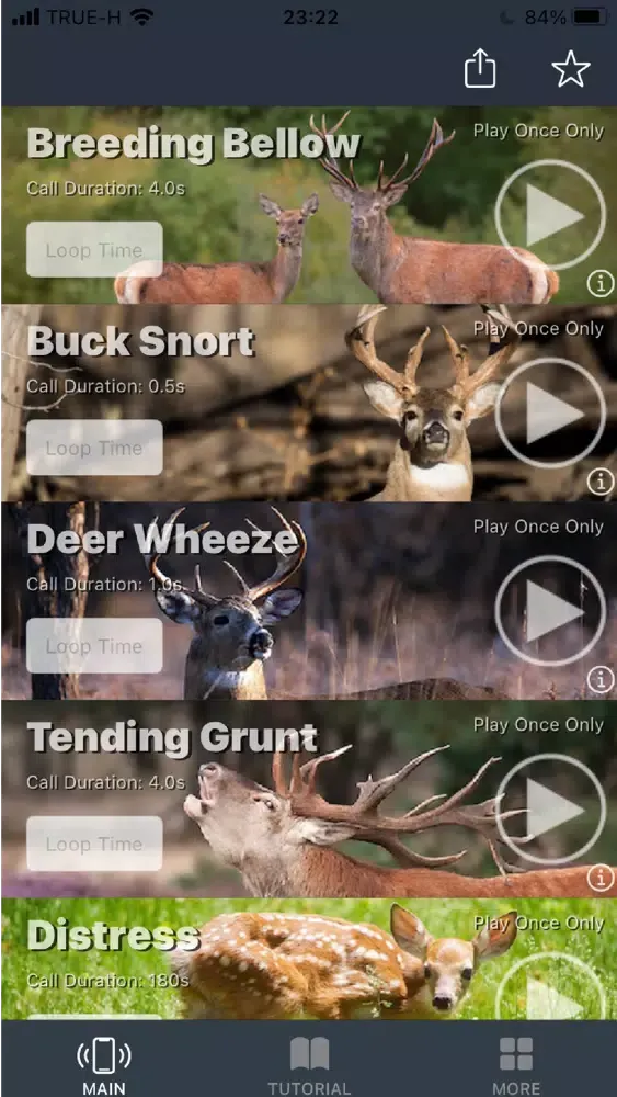 Whitetail Deer Calls for Hunt应用截图