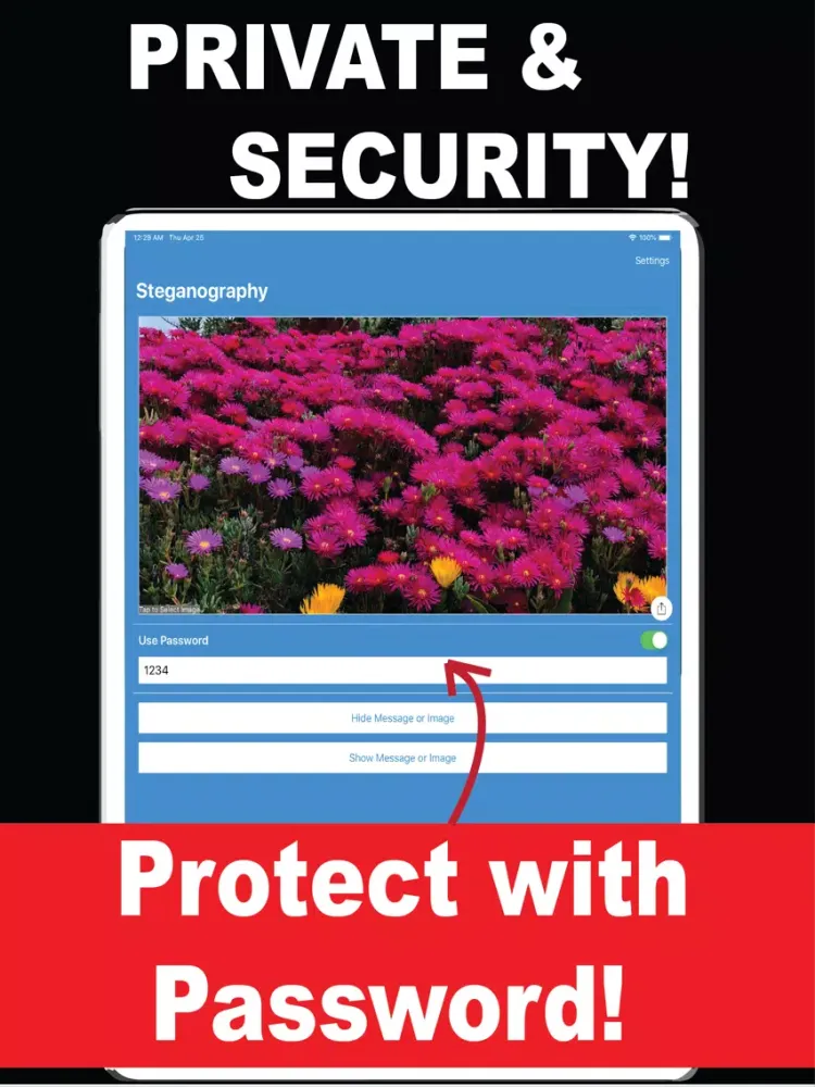 تصاویر Steganography iPad 