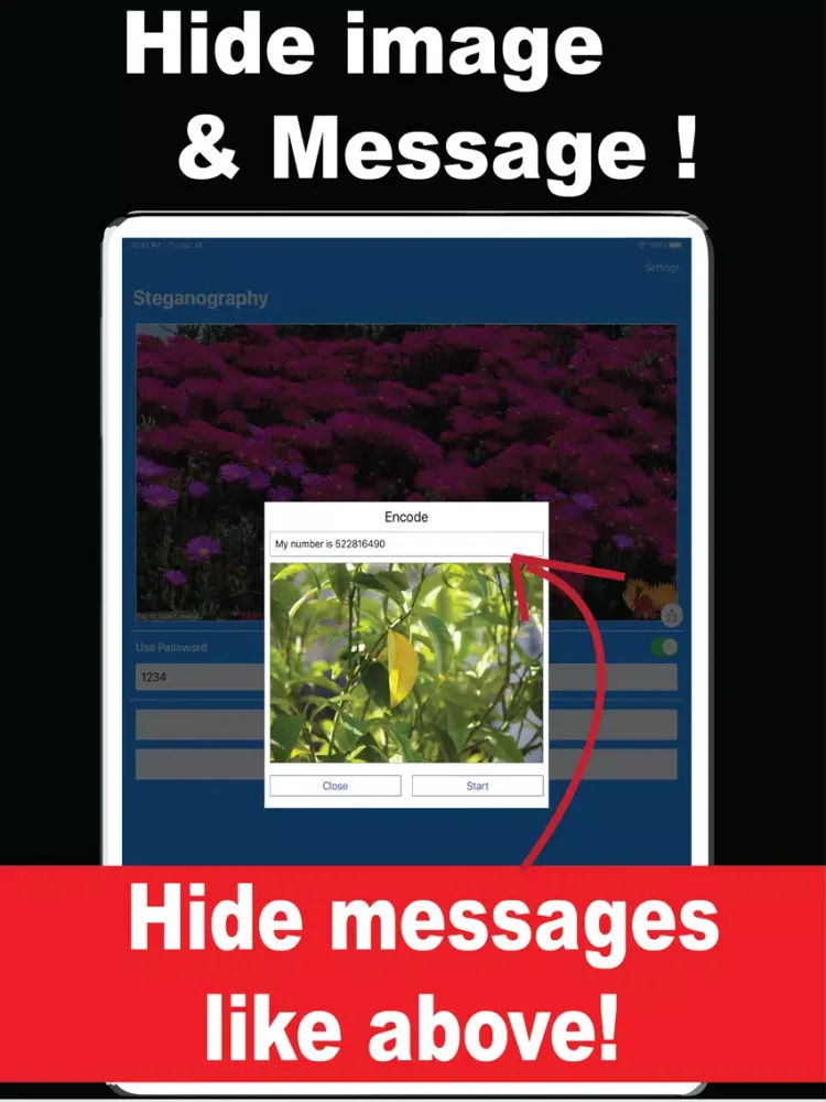 تصاویر Steganography iPad 