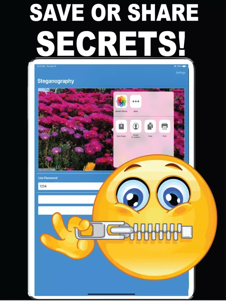 تصاویر Steganography iPad 