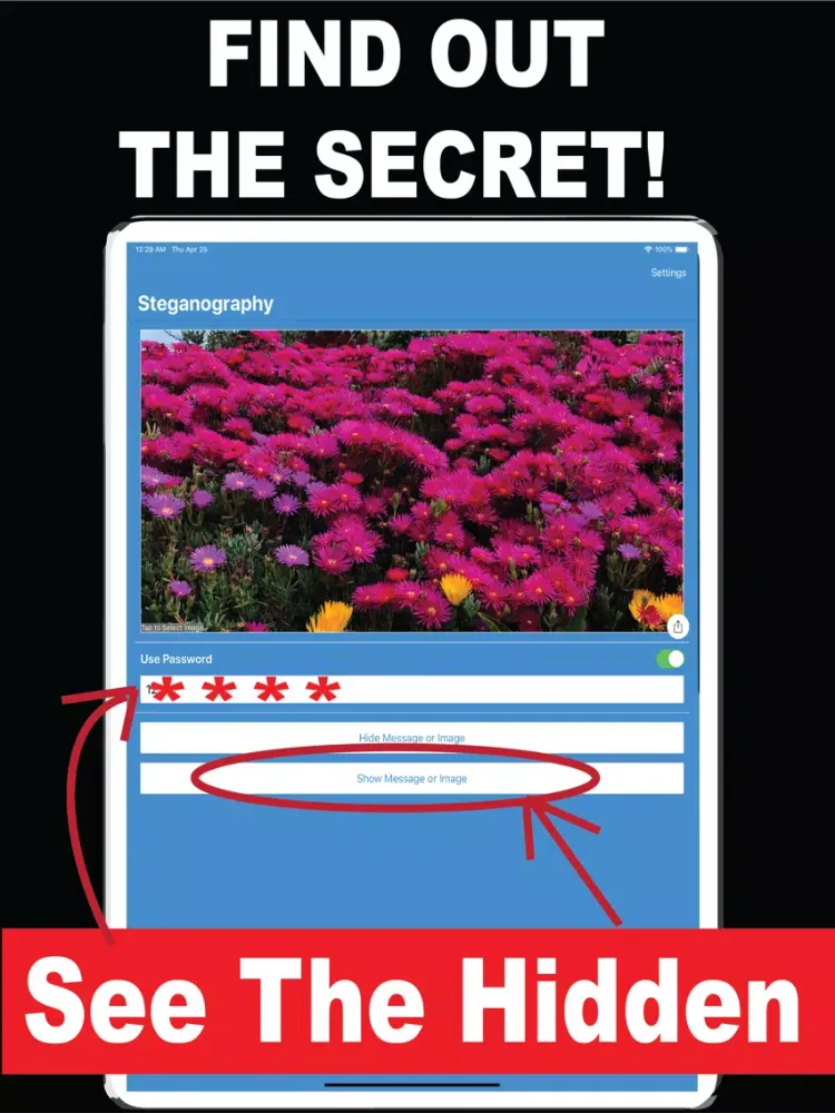 تصاویر Steganography iPad 