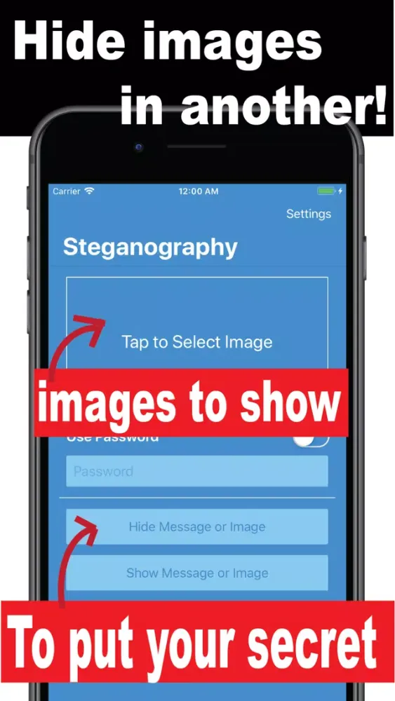تصاویر Steganography
