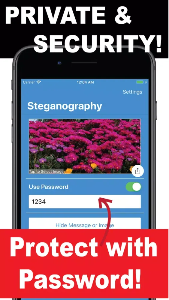 تصاویر Steganography