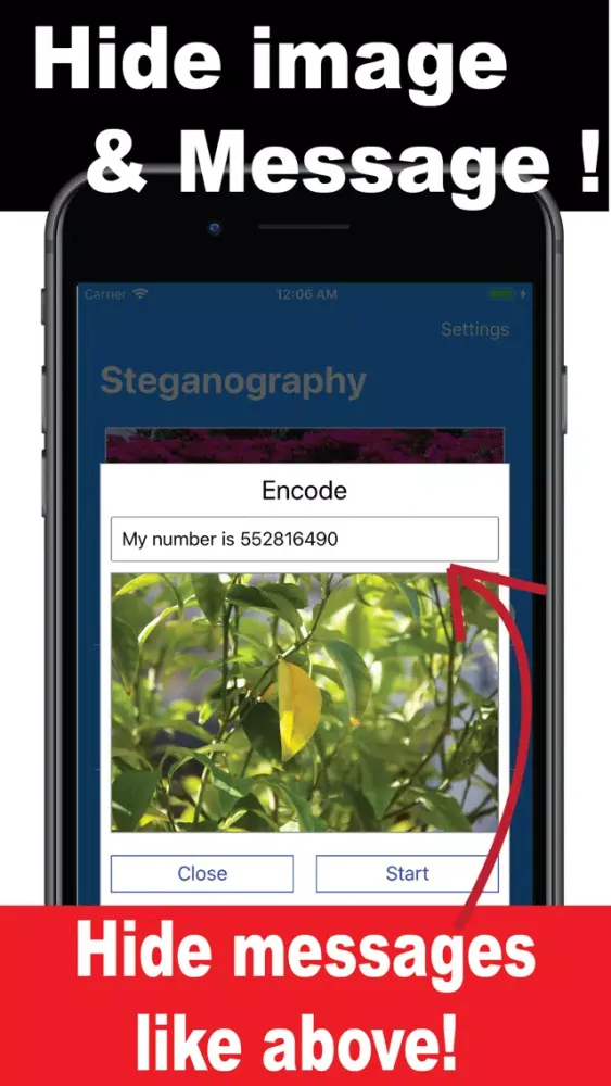 تصاویر Steganography