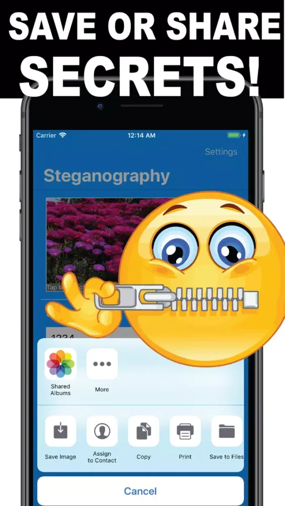 تصاویر Steganography