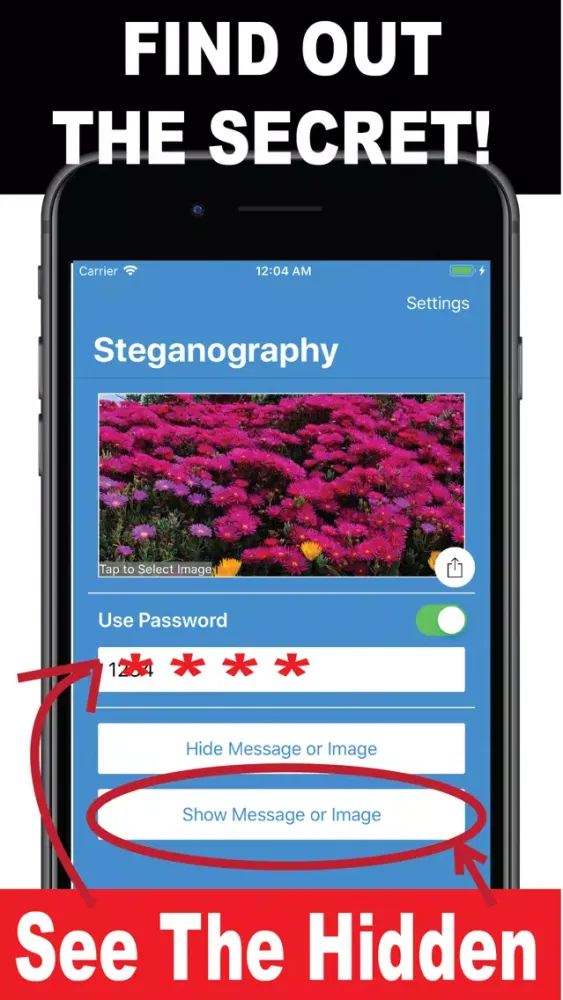 تصاویر Steganography