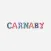 Carnaby Community