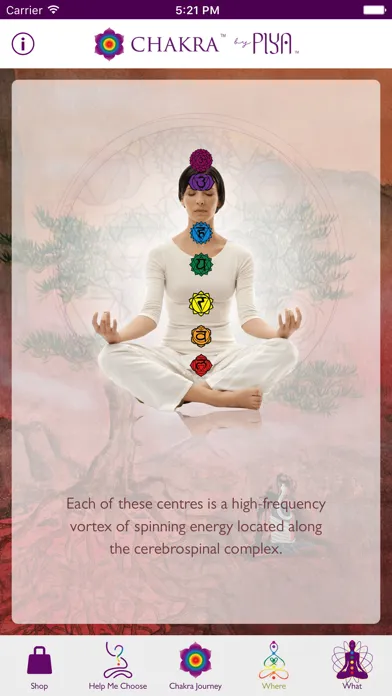 Ảnh chụp màn hình của Chakra by Piya