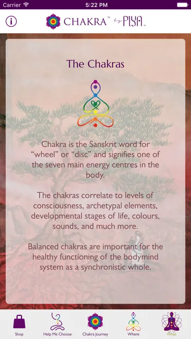 Ảnh chụp màn hình của Chakra by Piya