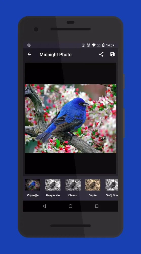 Midnight Photo Screenshots