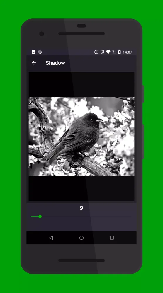 Midnight Photo Screenshots