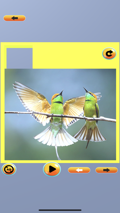 Picture Slice Puzzle 스크린샷