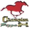 Champion Pizza