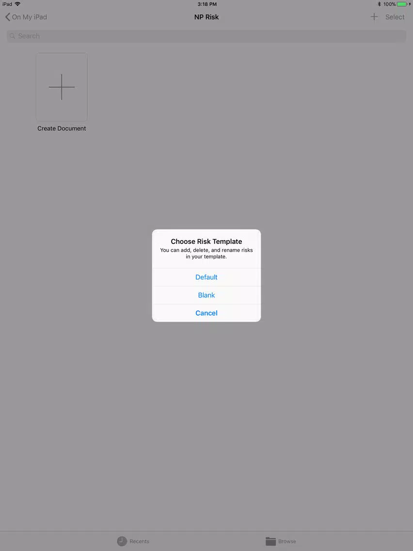 Tangkapan layar NP Risk iPad 
