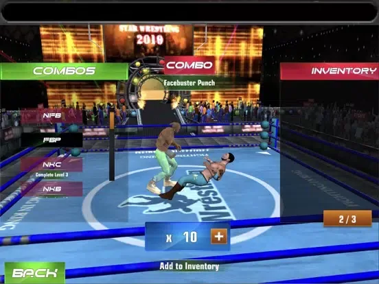 Ring Wrestling 8US iPad 应用截图