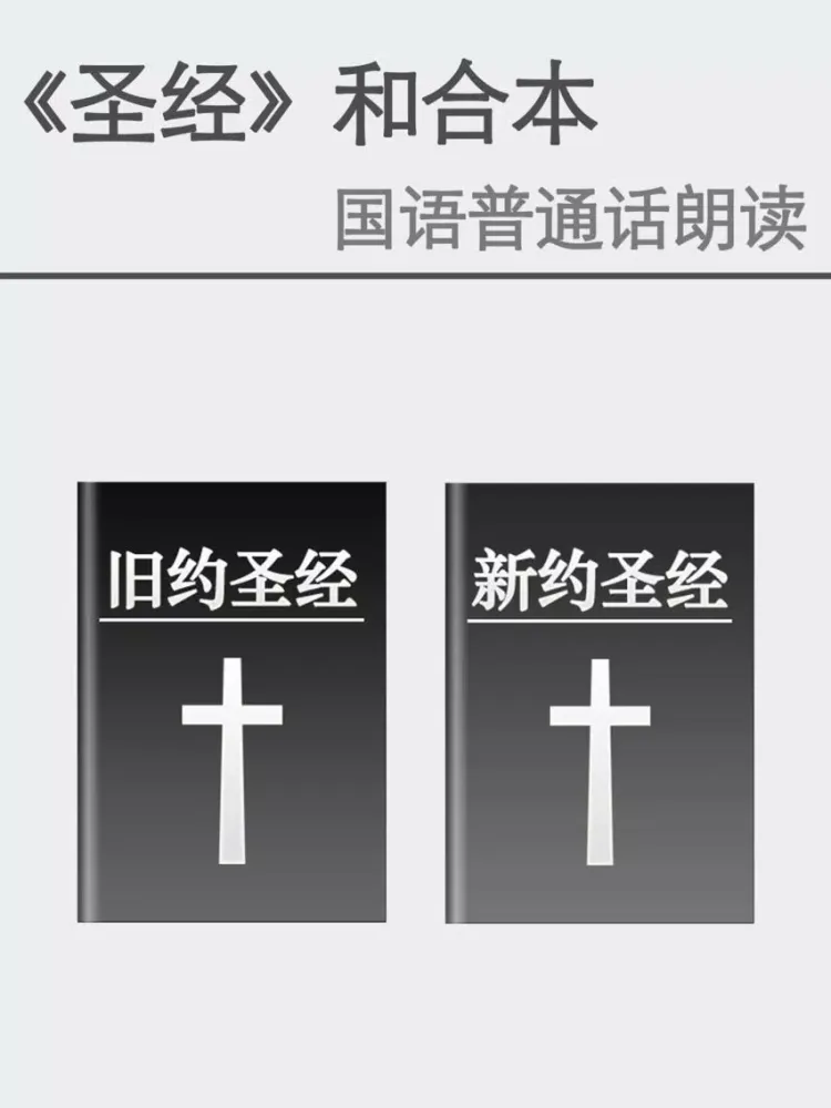 Captures d'écran de NIV圣经普通话朗读中文版-有声同步字幕 iPad 