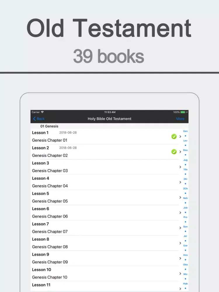 ภาพหน้าจอของ NIV Holy Bible - study hub app iPad 