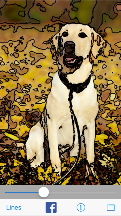 Toon Shine - Cartoonize photos Screenshots