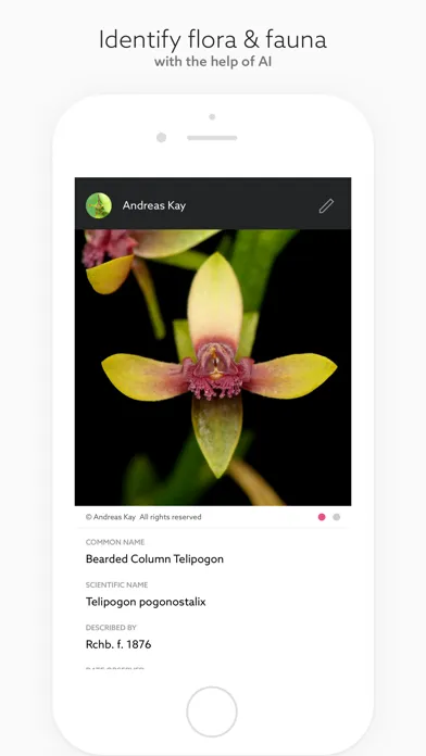 Capturas de pantalla de Fieldguide – for everything