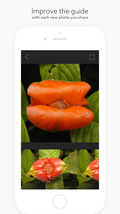 Capturas de pantalla de Fieldguide – for everything
