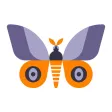 Leps by Fieldguide