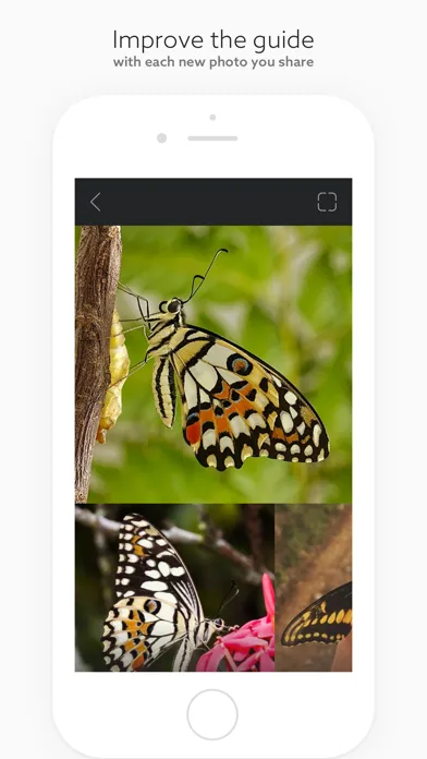 Zrzuty ekranu Leps by Fieldguide