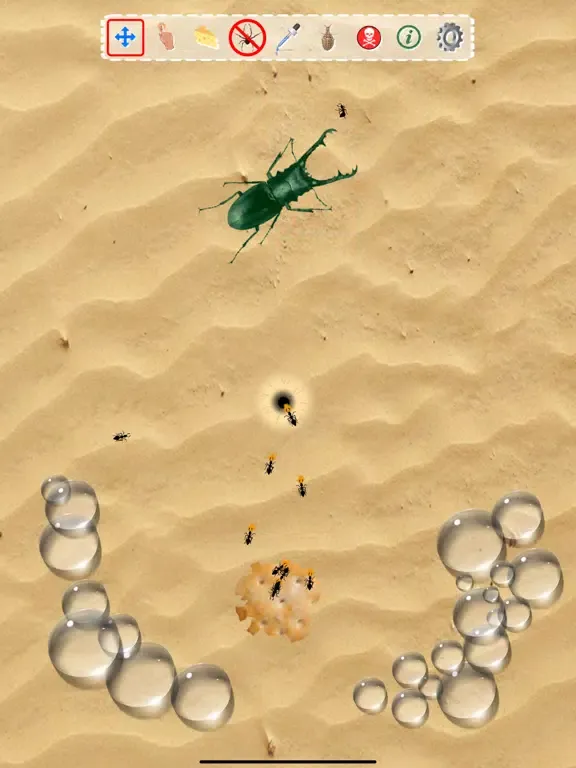Ant Sandbox iPad 应用截图