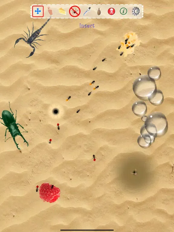 Ant Sandbox iPad 应用截图
