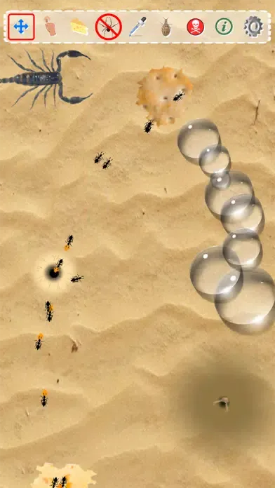 Ant Sandbox应用截图