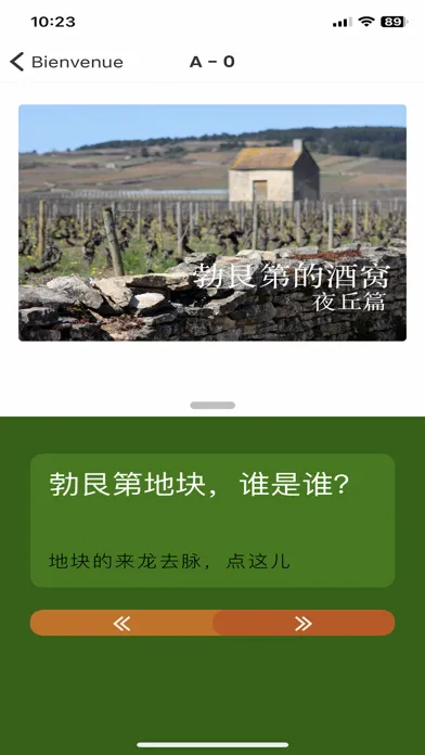 Ảnh chụp màn hình của 勃艮第的酒窝 Vins de Bourgogne