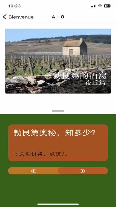 Ảnh chụp màn hình của 勃艮第的酒窝 Vins de Bourgogne