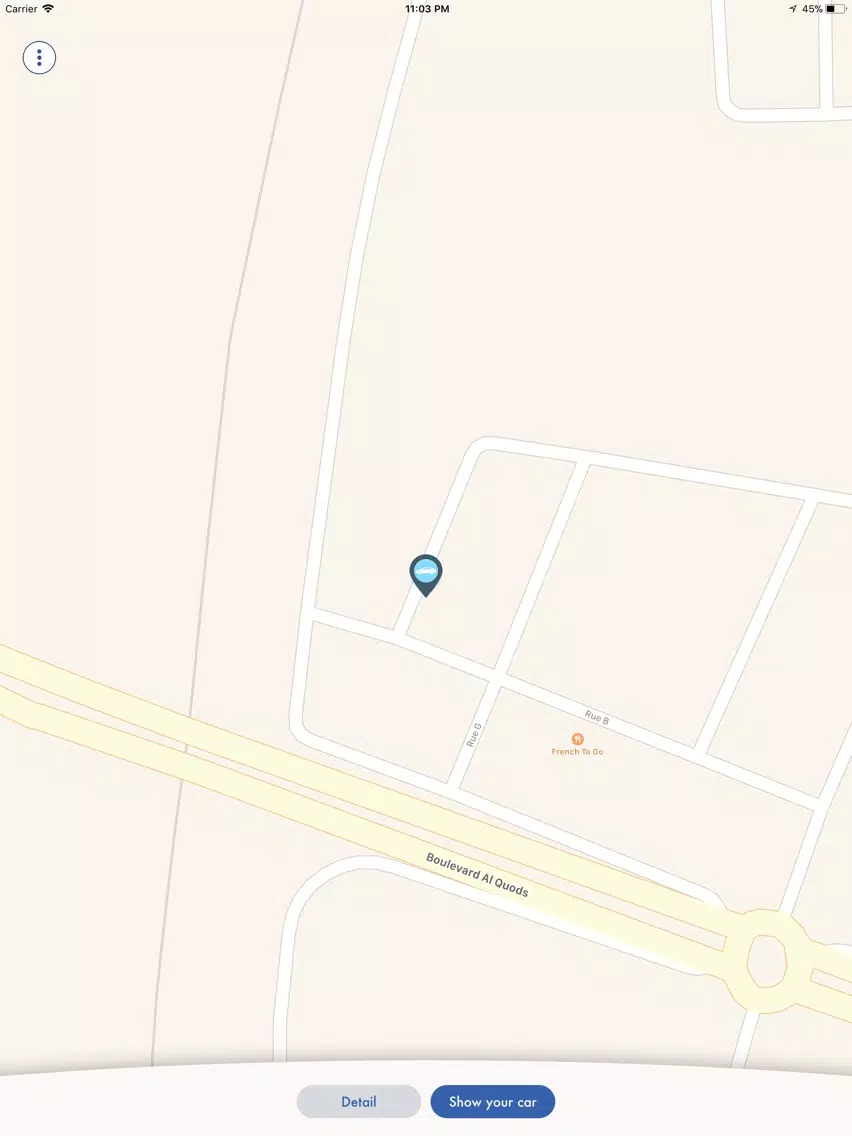 Tangkapan skrin Your Car Finder iPad 