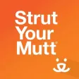 Strut Your Mutt
