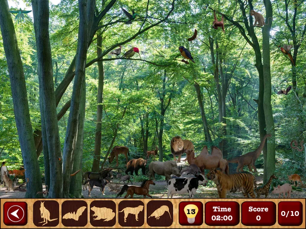 Hidden Objects : The Finding Object Game iPad 應用截圖