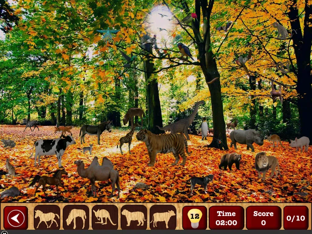 Hidden Objects : The Finding Object Game iPad 應用截圖
