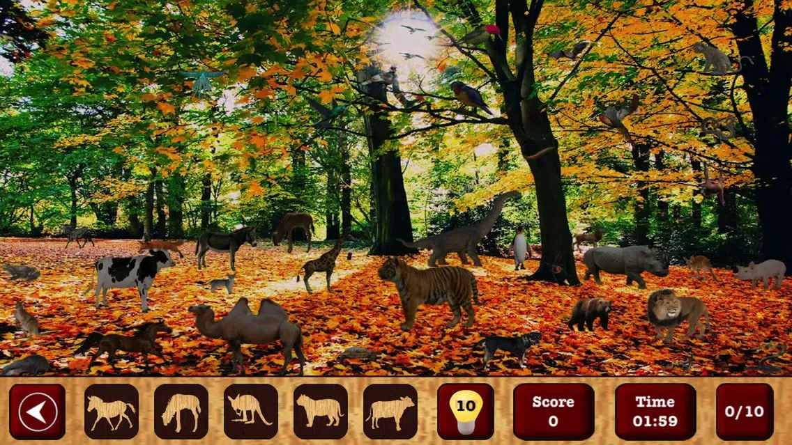 Hidden Objects : The Finding Object Game應用截圖