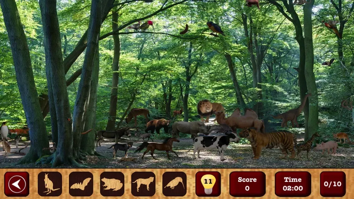 Hidden Objects : The Finding Object Game應用截圖