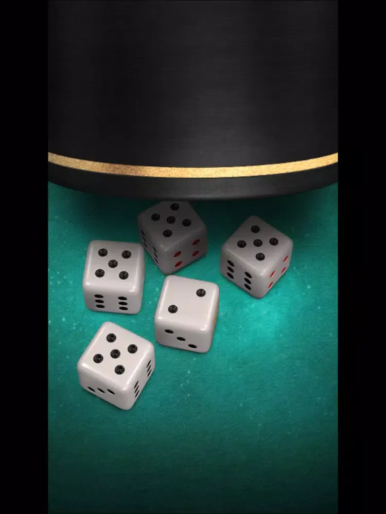 SA Liar Dice iPad  Screenshots