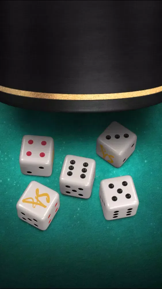 SA Liar Dice Screenshots