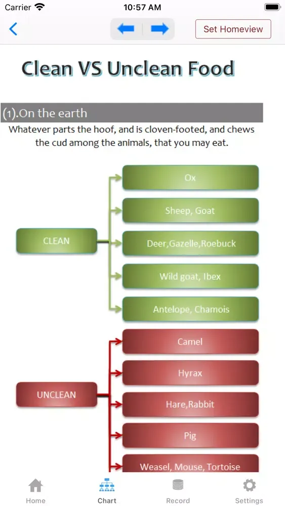 Tangkapan layar Bible Chart