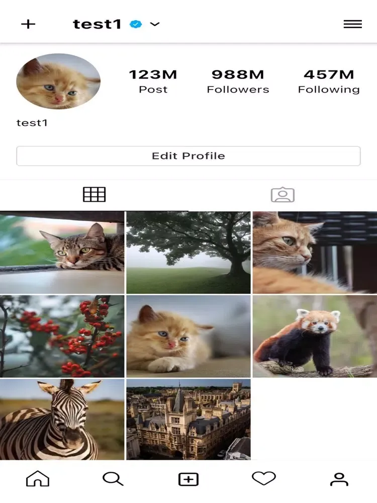 InstaNote - fake insta note iPad  스크린샷