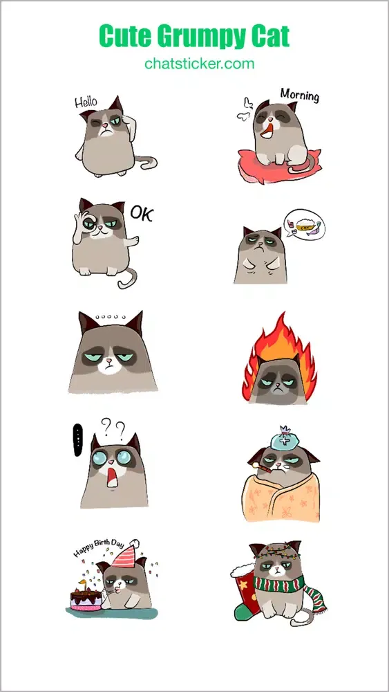 Cute Grumpy Cat应用截图