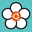 Petal Spin Tag Challenge