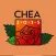 CHEA Convention Pasadena July 16-18, 2015