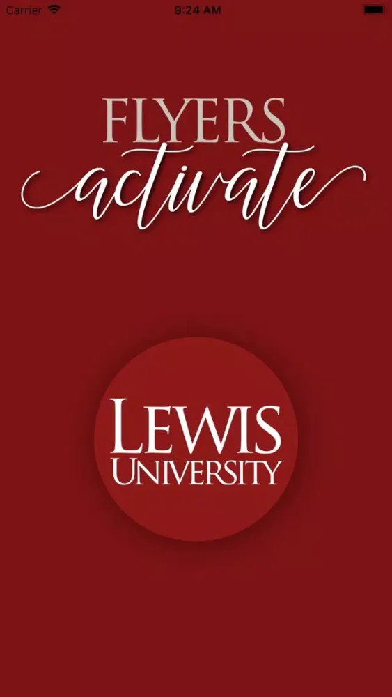 Скриншоты LewisU Flyers Activate