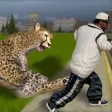 angry cheetah ready to destroy town