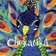 ヘアーサロン chekatika