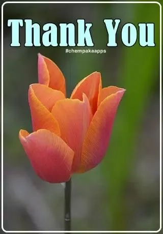 Thank You Images Screenshots